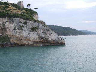 Immagine allegata alla scheda. Per averne una descrizione leggere i dettagli più in basso.